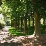 Lithia Park photo