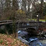 Lithia Park photo