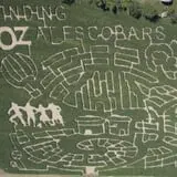 Escobar's Highland Farm Corn Maze photo