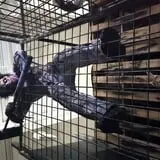 Haunted House of Creeps photo
