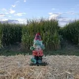 Rock Creek Farm Halloween Festival photo