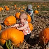 Rock Creek Farm Halloween Festival photo