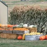 Rock Creek Farm Halloween Festival photo