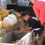Rock Creek Farm Halloween Festival photo