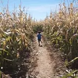Rock Creek Farm Halloween Festival photo