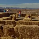 Rock Creek Farm Halloween Festival photo