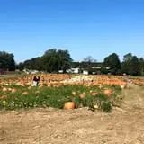 Porter Farms & Nursery photo
