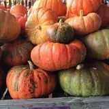 Porter Farms & Nursery photo