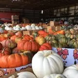 Porter Farms & Nursery photo