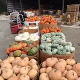 Porter Farms & Nursery photo