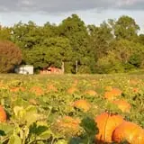 Porter Farms & Nursery photo