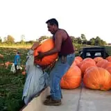 Porter Farms & Nursery photo
