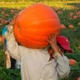 Porter Farms & Nursery photo