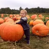 Porter Farms & Nursery photo