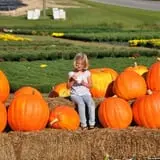 Porter Farms & Nursery photo