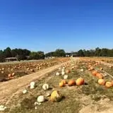 Porter Farms & Nursery photo