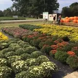 Porter Farms & Nursery photo