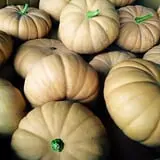 Porter Farms & Nursery photo