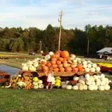 Porter Farms & Nursery photo