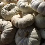 Porter Farms & Nursery photo