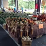 Porter Farms & Nursery photo