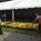 Porter Farms & Nursery photo