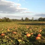 Porter Farms & Nursery photo