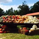 Porter Farms & Nursery photo