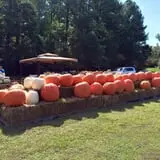 Porter Farms & Nursery photo