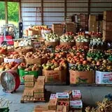 Porter Farms & Nursery photo