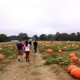 Porter Farms & Nursery photo