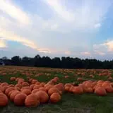 Porter Farms & Nursery photo