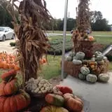 Porter Farms & Nursery photo