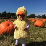 Porter Farms & Nursery photo