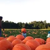 Porter Farms & Nursery photo