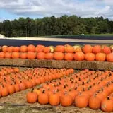 Porter Farms & Nursery photo