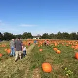 Porter Farms & Nursery photo