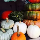 Porter Farms & Nursery photo