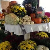 Porter Farms & Nursery photo