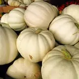 Porter Farms & Nursery photo
