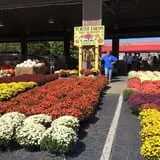 Porter Farms & Nursery photo