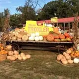 Porter Farms & Nursery photo