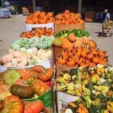Porter Farms & Nursery photo
