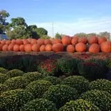 Porter Farms & Nursery photo