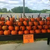 Porter Farms & Nursery photo