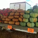 Porter Farms & Nursery photo