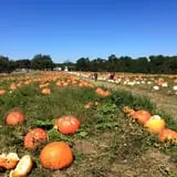 Porter Farms & Nursery photo