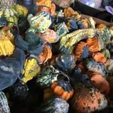 Porter Farms & Nursery photo