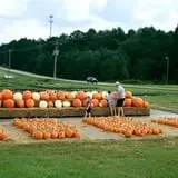 Porter Farms & Nursery photo