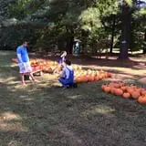 Porter Farms & Nursery photo